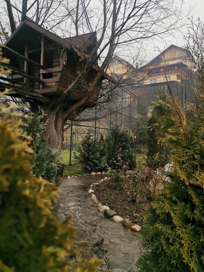 Doftana Apartaments Tesila Exterior photo